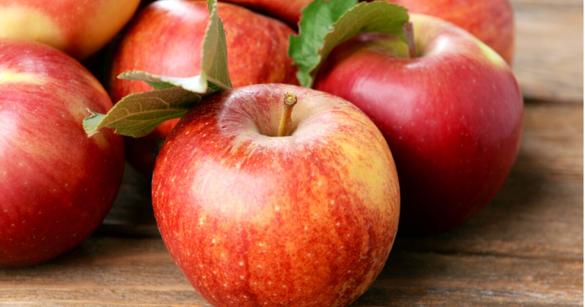 beliebteste die sind Obstsorte Äpfel mit großer Symbolkraft