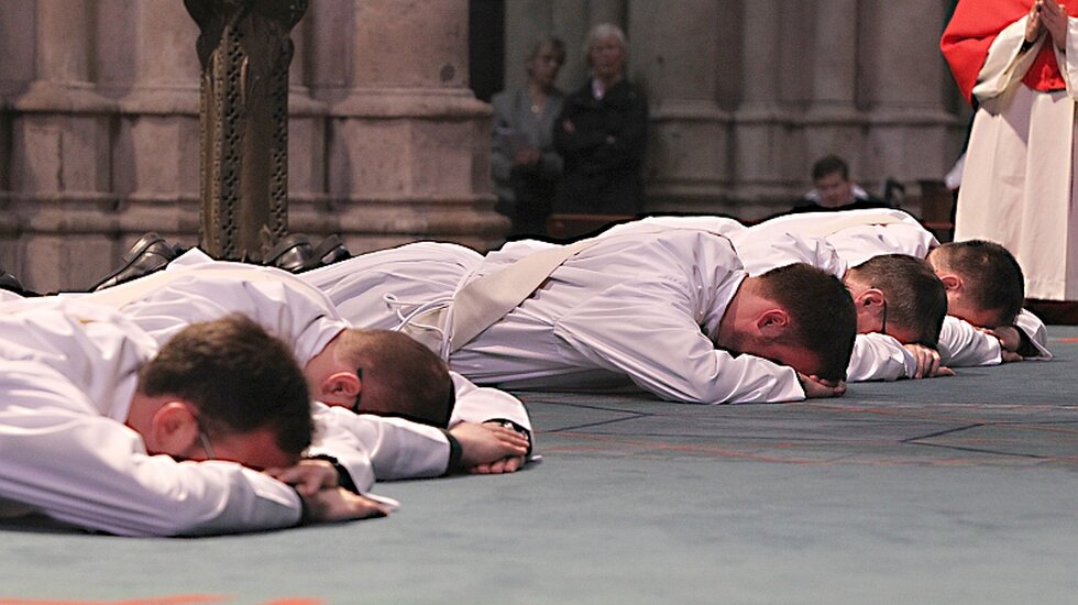 Priesterweihe im Kölner Dom / © Robert Boecker (Kirchenzeitung Koeln)