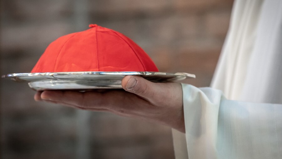Der rote Pileolus ist das Erkennungszeichen eines Kardinals / © Stefano Dal Pozzolo/Romano Siciliani (KNA)