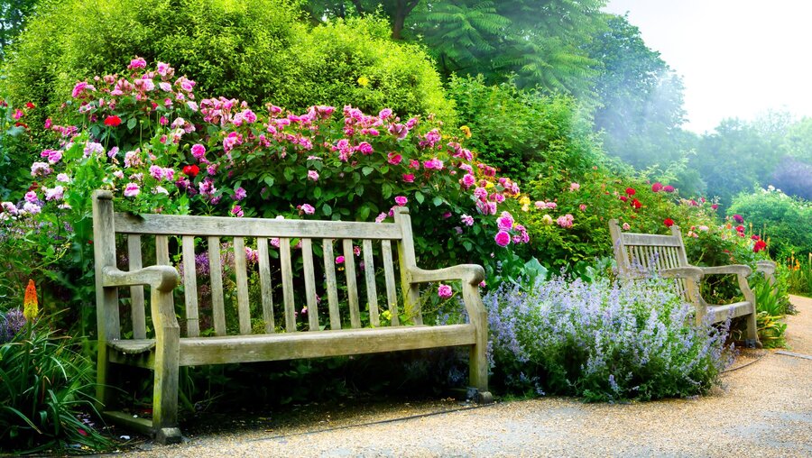 Symbolbild Bänke in einer Gartenlandschaft / © Konstanttin (shutterstock)