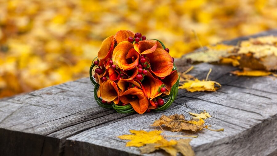 Symbolbild: Ein herbstlicher Blumenstrauß / © hotosite (shutterstock)