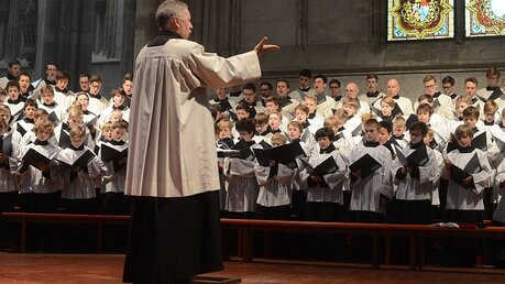 Der Domchor sang die Missa "Vidi speciosam" von Tomás Luis de Victoria / © Tomasetti (DR)