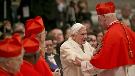 Der emeritierte Papst Benedikt XVI. am 22. Februar 2014 während eines Konsistoriums im Vatikan / © Romano Siciliani (KNA)