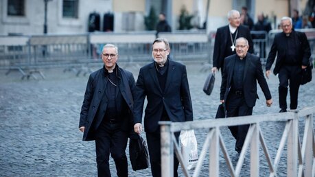 Deutsche Bischöfe in Rom / © Riccardo De Luca (KNA)