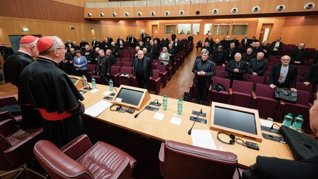 Treffen der Bischöfe der Deutschen Bischofskonferenz (DBK) mit den Leitern der vatikanischen Dikasterien / © Vatican Media/Romano Siciliani (KNA)