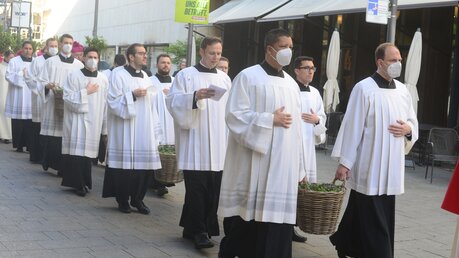 Prozession der Bonner Seminaristen und des Domkapitels / © Beatrice Tomasetti (DR)