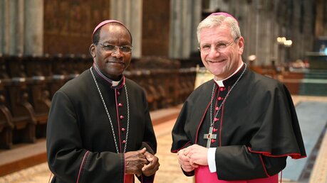 Zehn Monate lang war Erzbischof Martin Kivuva Musonde aus Mombasa der Vorgesetzte des Kölner Weihbischofs Schwaderlapp / © Beatrice Tomasetti (DR)