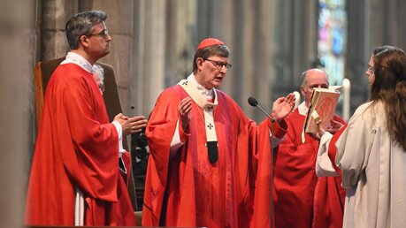 Thorsten Giertz und der Kardinal kennen sich aus dem Collegium Albertinum, als Woelki dort Direktor war / © Beatrice Tomasetti (DR)