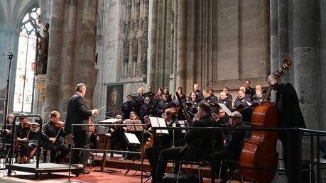 Zu Pfingsten stand immer eine Orchestermesse mit der Domkantorei auf dem Programm - 2023 zuletzt von Haydn. / © Beatrice Tomasetti (DR)
