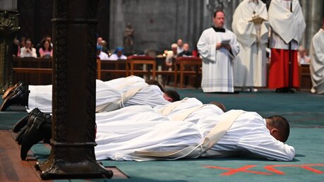 Priesterweihe im Kölner Dom / © Beatrice Tomasetti (DR)