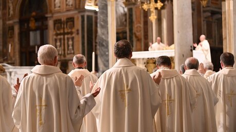 Deutsche Bischöfe feiern Messe in Rom / © Johannes Neudecker (dpa)