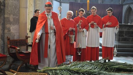 Köln: Kardinal Woelki segnet die Palmzweige / © Beatrice Tomasetti (DR)