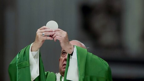 Papst Franziskus feiert die heilige Messe am Weltmissionstag im Petersdom / © Evandro Inetti (dpa)