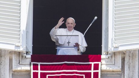 Papst Franziskus winkt den Gläubigen aus dem Fenster zu / © Riccardo De Luca/AP (dpa)