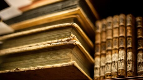 Alte Bücher in der Bibliothek der Lateranuniversität / © Cristian Gennari/Romano Siciliani (KNA)