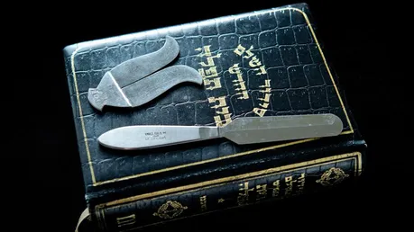 Beschneidungsbesteck: Ein Messer und ein Vorhautschutz (dpa)