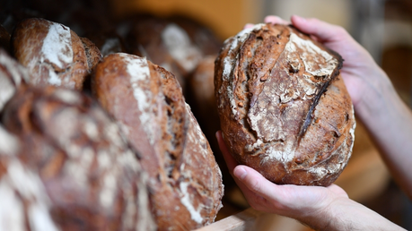 Grundnahrungsmittel Brot / © Uwe Anspach (dpa)