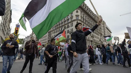 Pro-palästinensische Demonstration in Washington