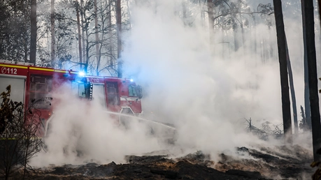 Die Feuerwehr in Brandenburg kämpft weiter gegen einen großen Waldbrand im Landkreis Elbe-Elster / © Jan Woitas (dpa)