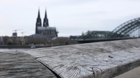 Kölner Dom im Hintergrund / © Andreas 1971 (shutterstock)