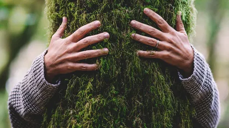 Symbolbild Klimaschutz / © simona pilolla 2 (shutterstock)