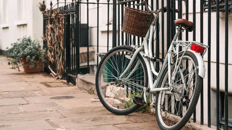 Fahrrad lehnt an einem Zaun / © Alena Veasey (shutterstock)