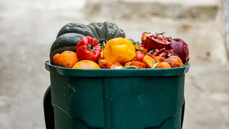 Lebensmittelverschwendung / © Fevziie (shutterstock)