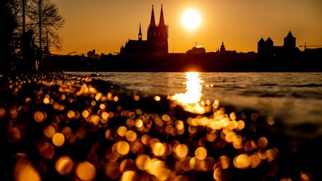 Sonnenuntergang am Kölner Dom / © Marcel Kusch (dpa)