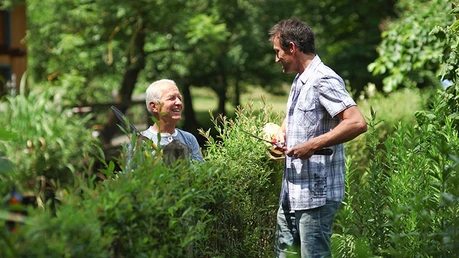 Zwei Männer unterhalten sich über eine Gartenhecke hinweg. / © Altrendo Images (shutterstock)