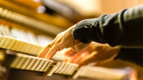 Ein Mann spielt eine Orgel / © GoneWithTheWind (shutterstock)