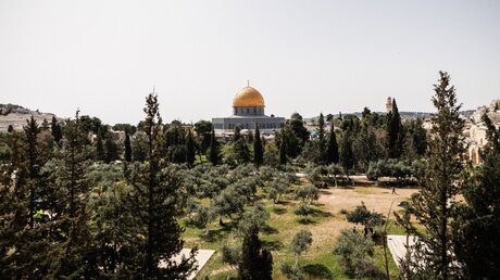 Tempelberg in Jerusalem / © Andrea Krogmann (KNA)