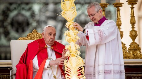 Palmsonntag mit Papst Franziskus / © Cristian Gennari/Romano Siciliani (KNA)