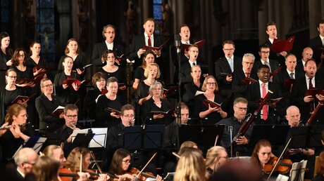 Die Domkantorei Köln hat viele große Oratorien im Repertoire. / © Beatrice Tomasetti (DR)