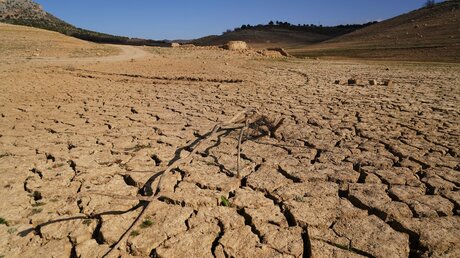 Dürre in Spanien / © Álex Zea/EUROPA PRESS (dpa)