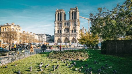 Notre-Dame in Paris / © Sun_Shine (shutterstock)