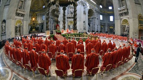 Die Kardinäle im Petersdom  (epd)