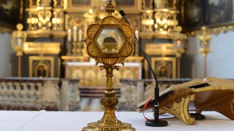 In der Schatzkammer von St. Mariä Himmelfahrt werden Reliquien von Petrus Canisius aufbewahrt / © Beatrice Tomasetti (DR)