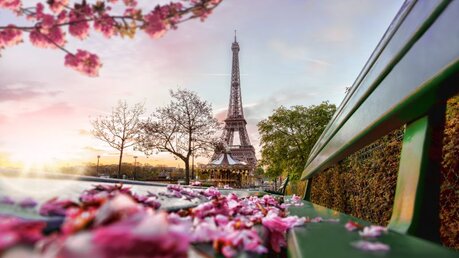 Eiffelturm im Frühjahr in Paris / © Samot (shutterstock)