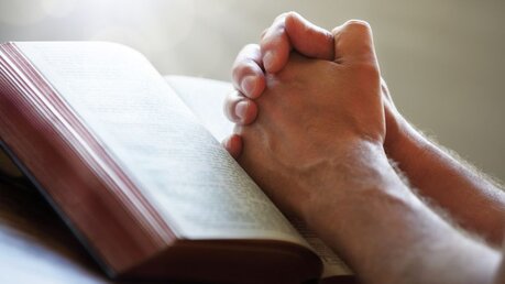 Hände im Gebet auf einer Bibel / © Brian A Jackson (shutterstock)