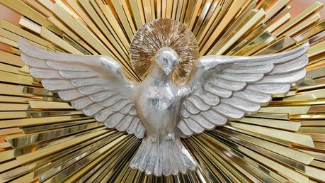 Heiliger Geist: Friedenstaube, Darstellung des Heiligen Geistes, in der Herz-Jesu-Kathedrale in Skopje / © Harald Oppitz (KNA)