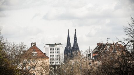 Blick auf den Kölner Dom / © Julia Steinbrecht (KNA)