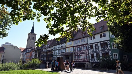Erfurts jüdisch-mittelalterliches Erbe ist Unesco Welterbe / © Martin Schutt (dpa)