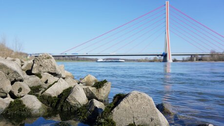 Große Steine vor der Fleher Brücke in Düsseldorf am Rheinbogen / © Irene Tissen-Jakuschew (shutterstock)