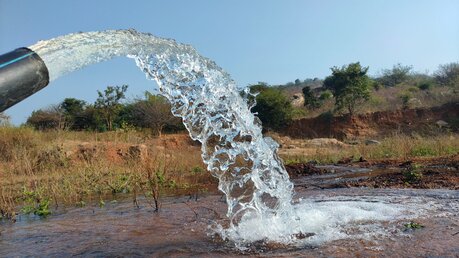 Symbolbild Grundwasser / © celipuram gopichander (shutterstock)