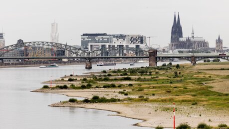 Blick über die Rheinauen auf den Kölner Dom / © Rolf Vennenbernd (dpa)