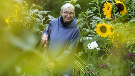 Schwester Christa, Leiterin Klostergarten, steht zwischen den Sonnenblumen im Klostergarten / © Andreas Arnold (dpa)