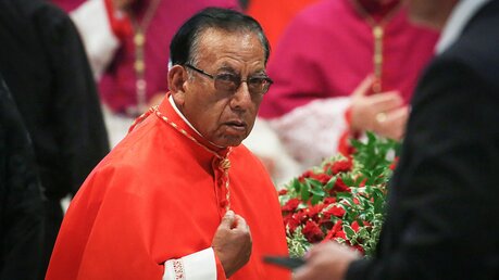 Kardinal Toribio Ticona Porco, emeritierter Prälat von Corocoro (Bolivien), am 28. Juni 2018 im Vatikan / © Stefano Dal Pozzolo/Romano Sicil (KNA)