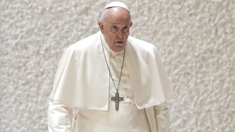 Papst bei Audienz im Vatikan / © Andrew Medichini/AP (dpa)