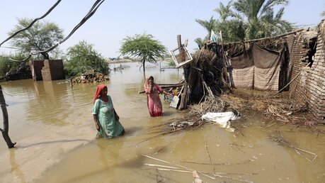 Überflutungen in Pakistan / © Fareed Khan (dpa)