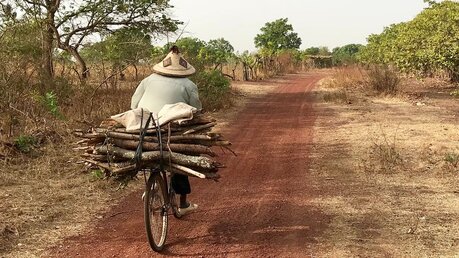 Mann mit Feuerholz auf einem Fahrrad im Süden Malis / © Marcus Stevens (shutterstock)